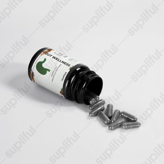 Natural Gut Wellness (Capsules)